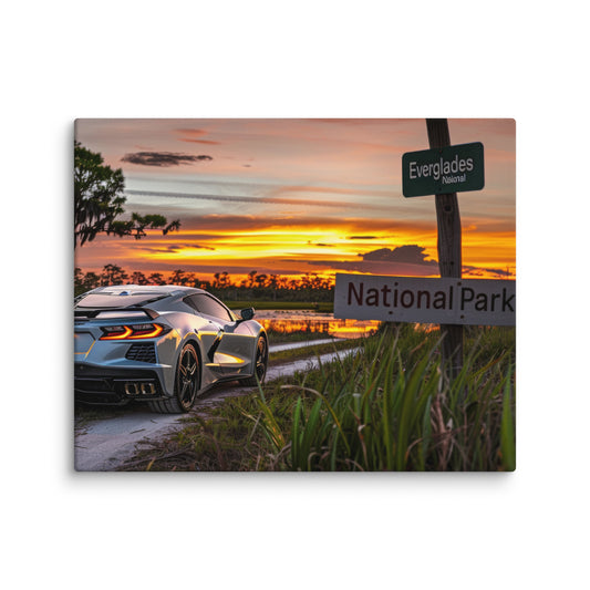 Everglades Elegance: Silver C8 Corvette at Sunset (Canvas)