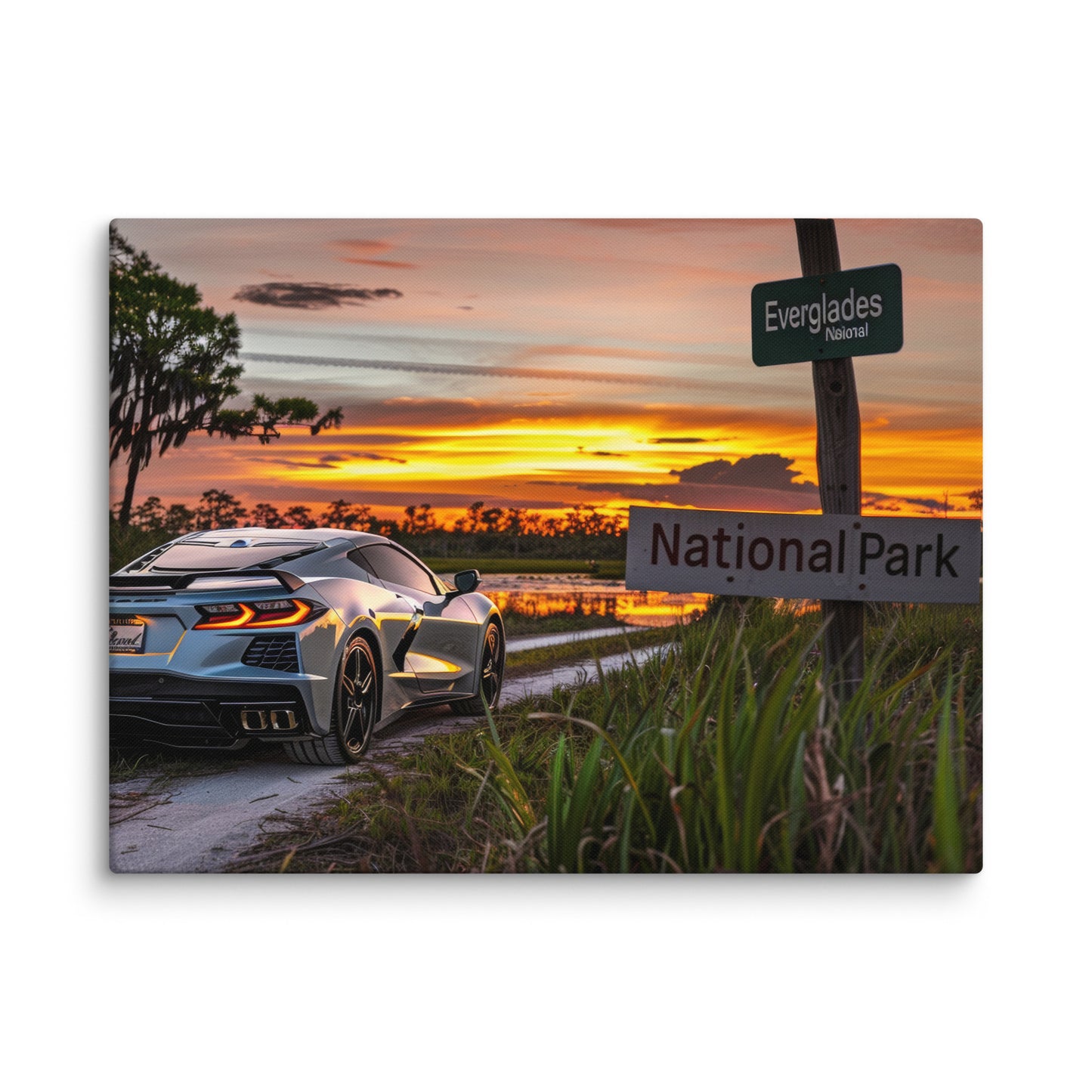 Everglades Elegance: Silver C8 Corvette at Sunset (Canvas)