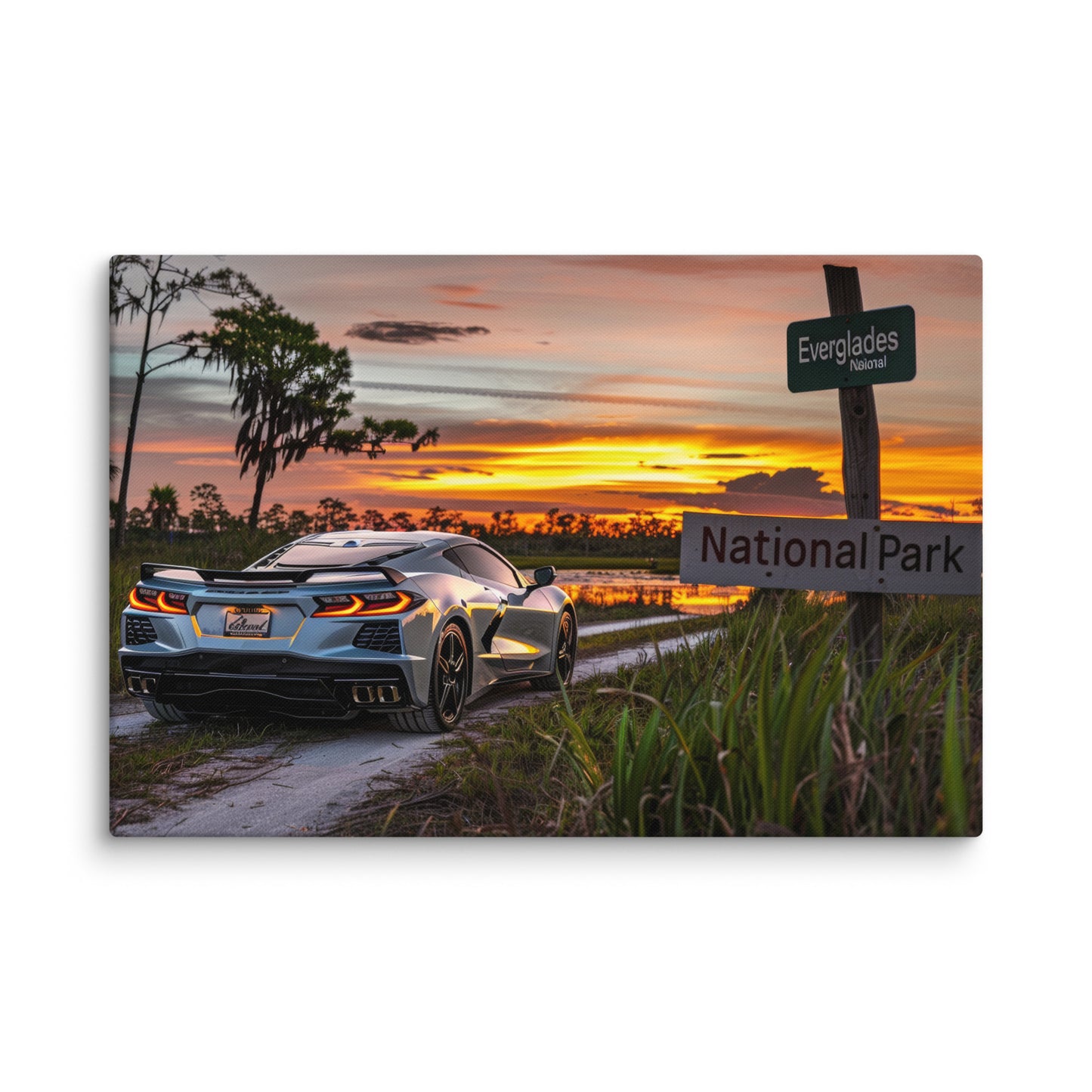 Everglades Elegance: Silver C8 Corvette at Sunset (Canvas)