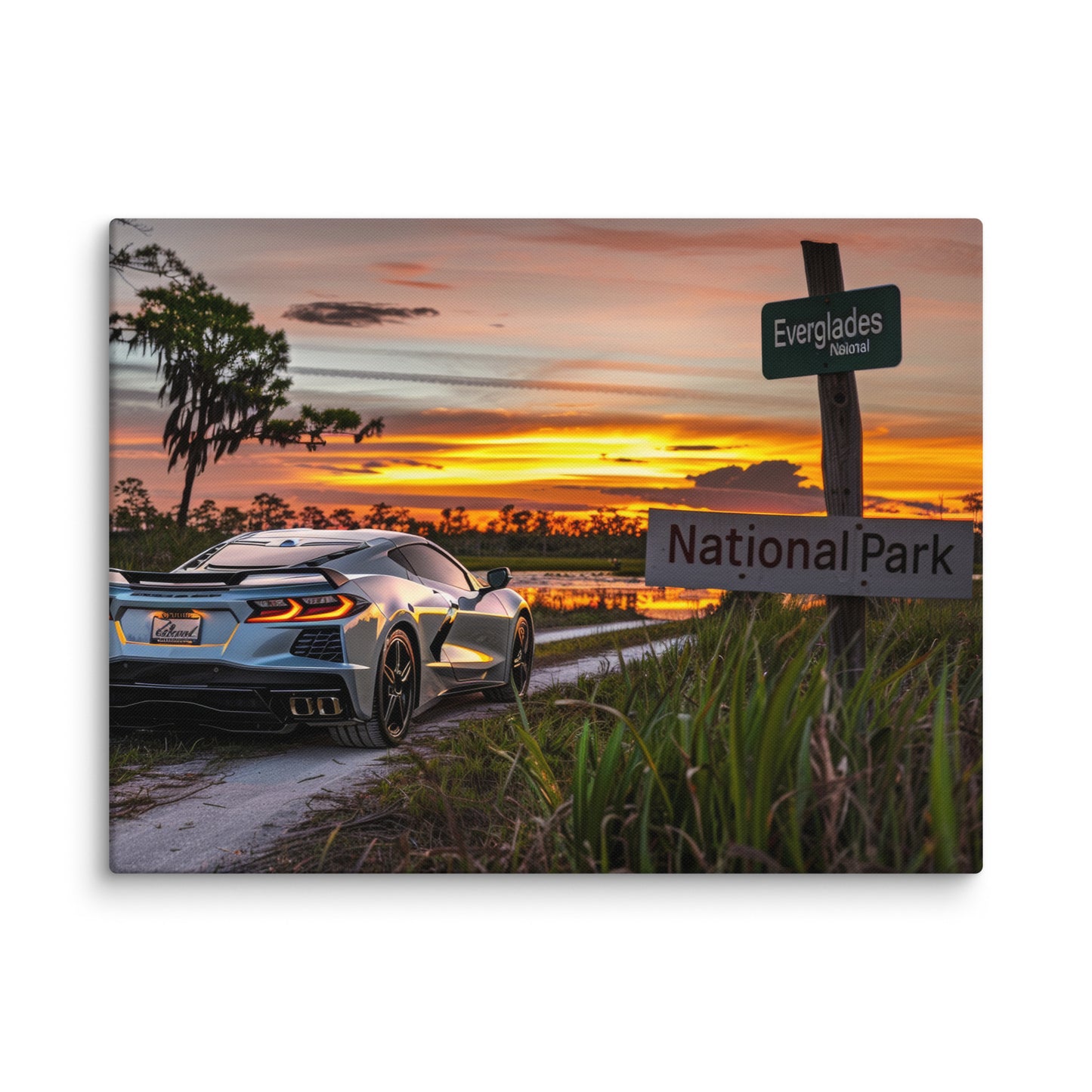 Everglades Elegance: Silver C8 Corvette at Sunset (Canvas)